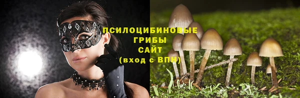 a pvp Алексин