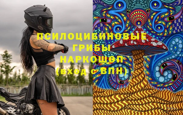 a pvp Алексин