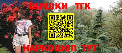 амф Кандалакша