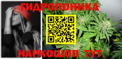 амф Кандалакша