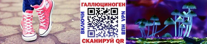 Псилоцибиновые грибы Psilocybine cubensis  Скопин 