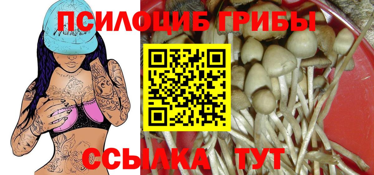 Скопин  Псилоцибиновые грибы Cubensis  Галлюциногенные грибы прущие грибы  Вход с VPN 